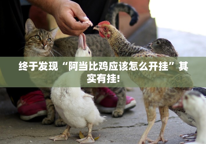 终于发现“阿当比鸡应该怎么开挂”其实有挂!