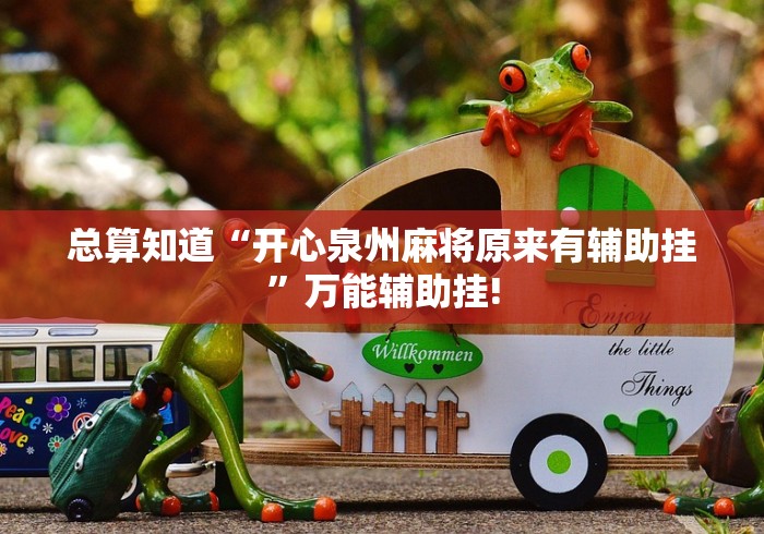 总算知道“开心泉州麻将原来有辅助挂”万能辅助挂!