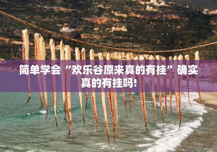 简单学会“欢乐谷原来真的有挂”确实真的有挂吗!