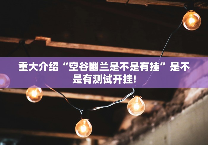 重大介绍“空谷幽兰是不是有挂”是不是有测试开挂!