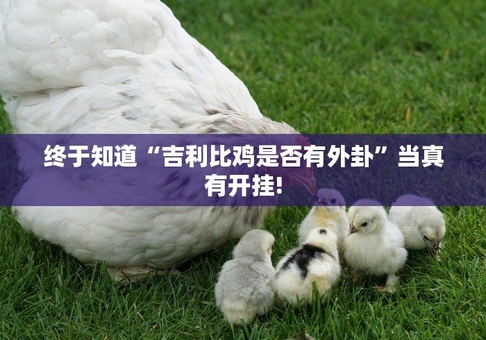 终于知道“吉利比鸡是否有外卦”当真有开挂!