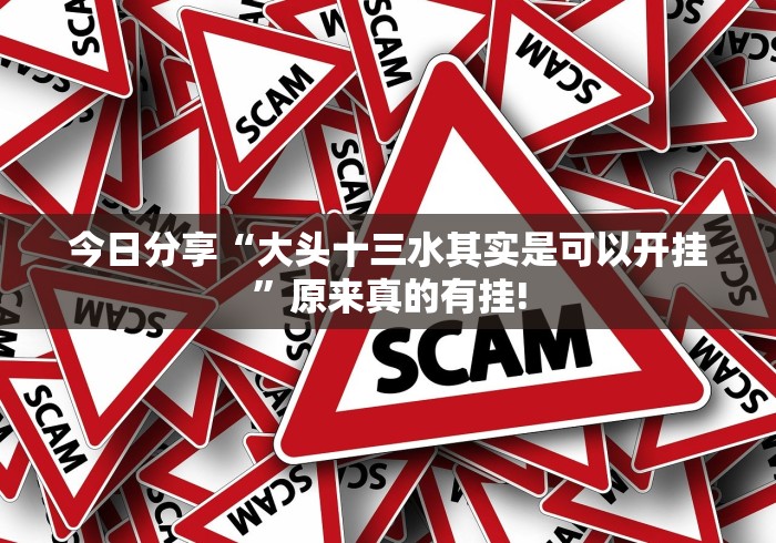 今日分享“大头十三水其实是可以开挂”原来真的有挂!