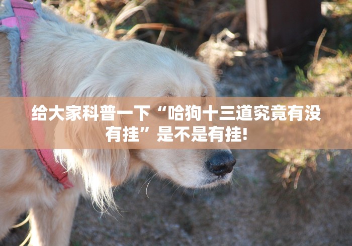 玩家必备攻略“小南四川长牌是不是可以开挂”其实有挂!