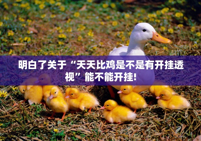 明白了关于“天天比鸡是不是有开挂透视”能不能开挂! 明白了关于“天天比鸡是不是有开挂透视”能不能开挂!