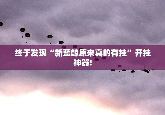 终于发现“新蓝鲸原来真的有挂”开挂神器!