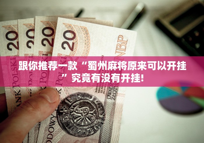 跟你推荐一款“蜀州麻将原来可以开挂”究竟有没有开挂!