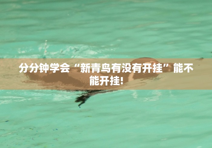 分分钟学会“新青鸟有没有开挂”能不能开挂!