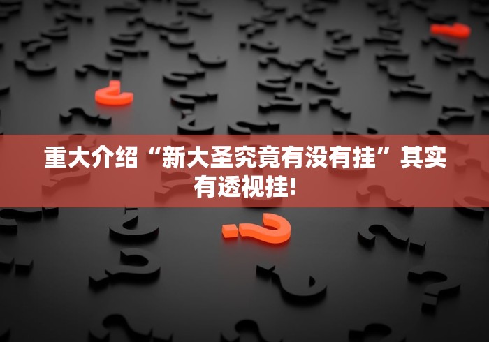 重大介绍“新大圣究竟有没有挂”其实有透视挂!