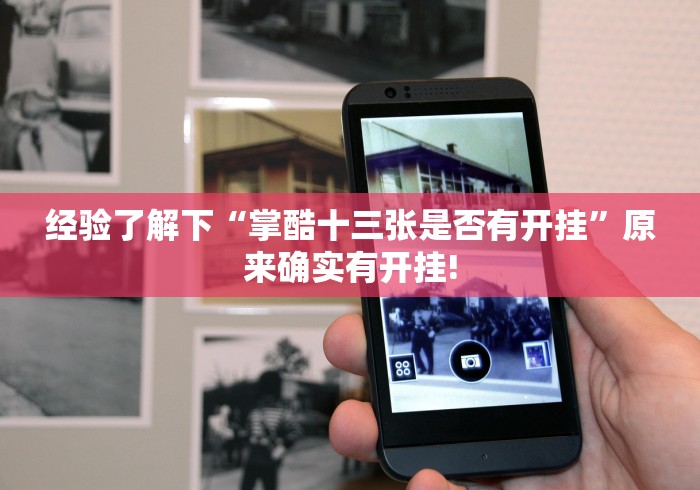 经验了解下“掌酷十三张是否有开挂”原来确实有开挂!