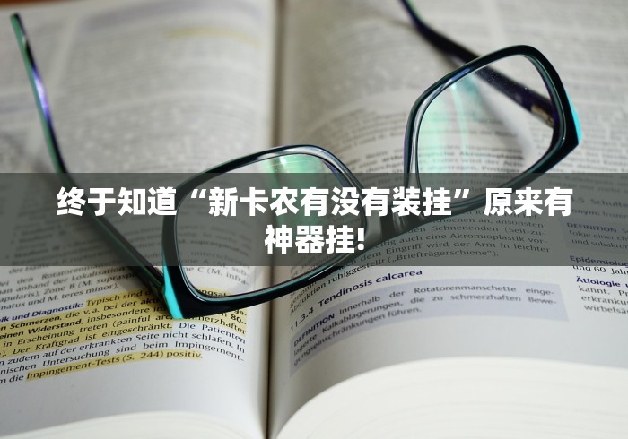 终于知道“新卡农有没有装挂”原来有神器挂!
