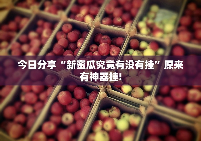 今日分享“新蜜瓜究竟有没有挂”原来有神器挂!