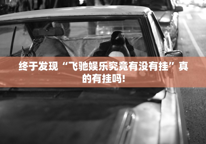 终于发现“飞驰娱乐究竟有没有挂”真的有挂吗! 终于发现“飞驰娱乐究竟有没有挂”真的有挂吗!