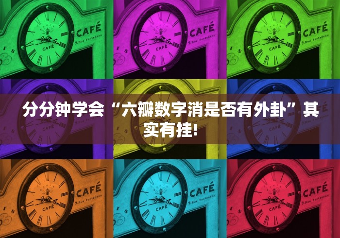 分分钟学会“六瓣数字消是否有外卦”其实有挂!