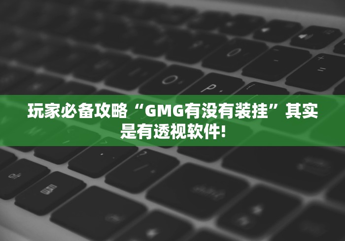 玩家必备攻略“GMG有没有装挂”其实是有透视软件!
