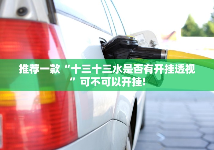 推荐一款“十三十三水是否有开挂透视”可不可以开挂!