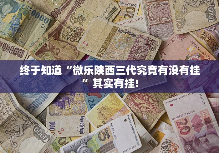 终于知道“微乐陕西三代究竟有没有挂”其实有挂!