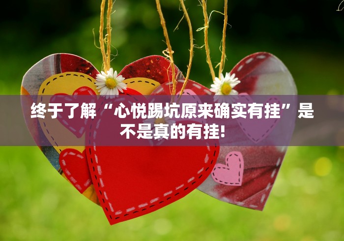 终于了解“心悦踢坑原来确实有挂”是不是真的有挂! 终于了解“心悦踢坑原来确实有挂”是不是真的有挂!