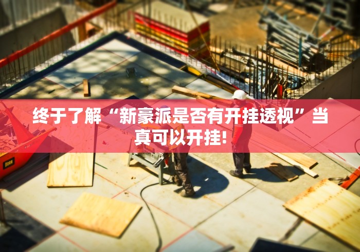 终于了解“新豪派是否有开挂透视”当真可以开挂! 终于了解“新豪派是否有开挂透视”当真可以开挂!