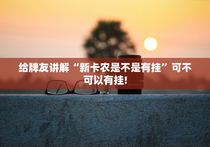 给牌友讲解“新卡农是不是有挂”可不可以有挂!