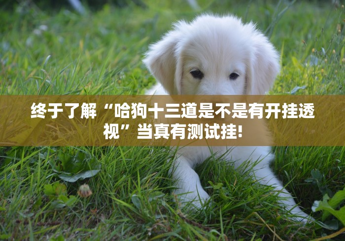 终于了解“哈狗十三道是不是有开挂透视”当真有测试挂!