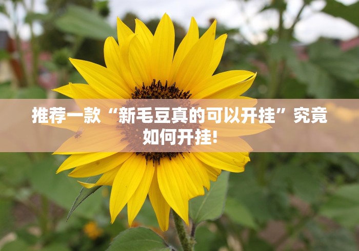 总算知道“畅享睢宁麻将确实真的有挂”当真可以开挂!