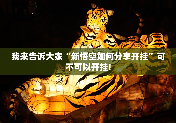 我来告诉大家“新悟空如何分享开挂”可不可以开挂!