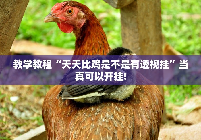 推荐一款“欢聚斗地主开挂!应该可以”原来有开挂! 推荐一款“欢聚斗地主开挂!应该可以”原来有开挂!