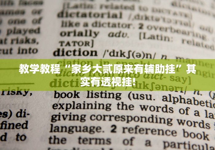 教学教程“家乡大贰原来有辅助挂”其实有透视挂!