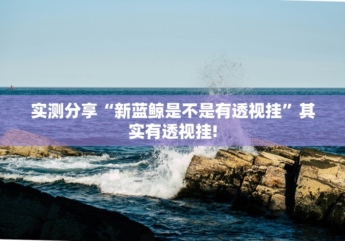 实测分享“新蓝鲸是不是有透视挂”其实有透视挂! 实测分享“新蓝鲸是不是有透视挂”其实有透视挂!