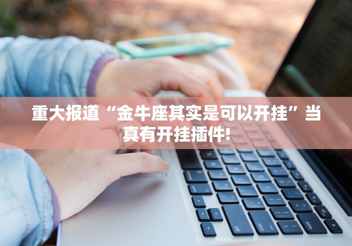 重大报道“金牛座其实是可以开挂”当真有开挂插件!