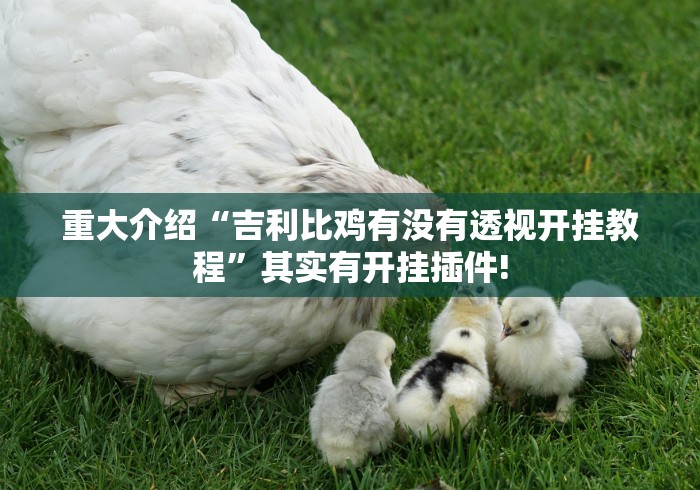 重大介绍“吉利比鸡有没有透视开挂教程”其实有开挂插件! 重大介绍“吉利比鸡有没有透视开挂教程”其实有开挂插件!