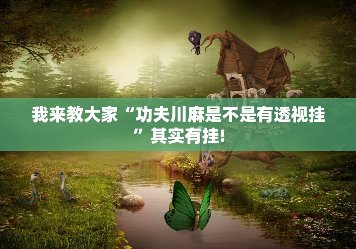 我来教大家“功夫川麻是不是有透视挂”其实有挂!