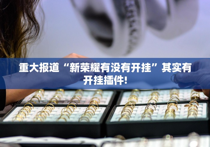 重大报道“新荣耀有没有开挂”其实有开挂插件!