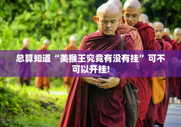 总算知道“美猴王究竟有没有挂”可不可以开挂!