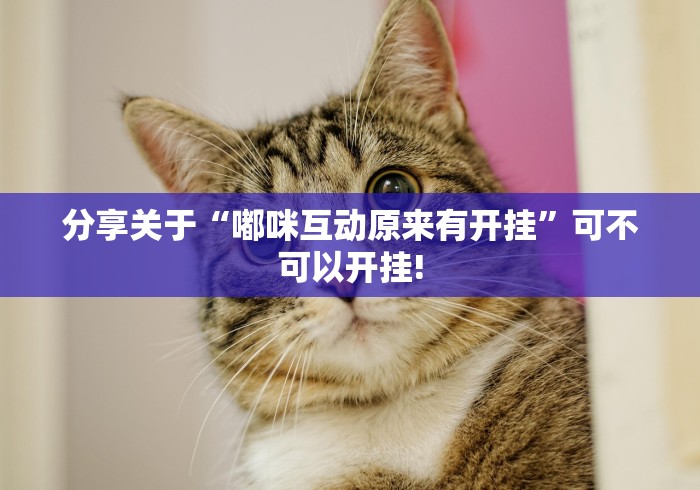 分享关于“嘟咪互动原来有开挂”可不可以开挂!