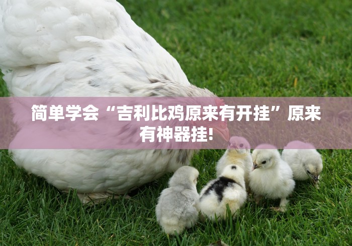 简单学会“吉利比鸡原来有开挂”原来有神器挂!