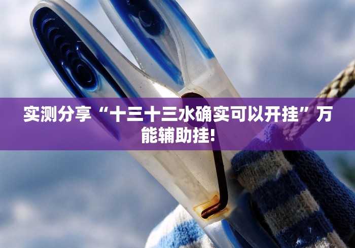 实测分享“十三十三水确实可以开挂”万能辅助挂!