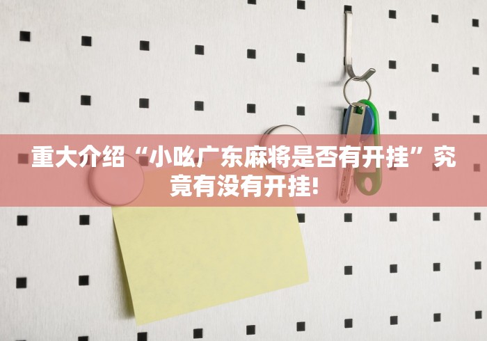 重大介绍“小吆广东麻将是否有开挂”究竟有没有开挂!