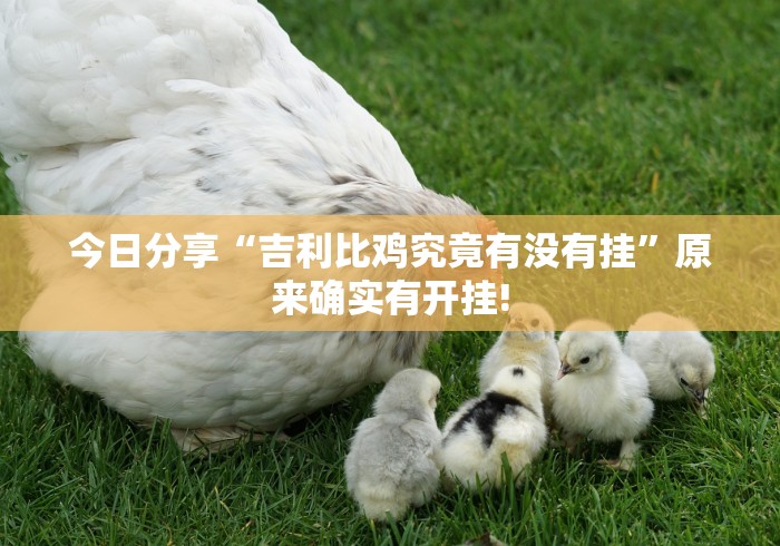 今日分享“吉利比鸡究竟有没有挂”原来确实有开挂!