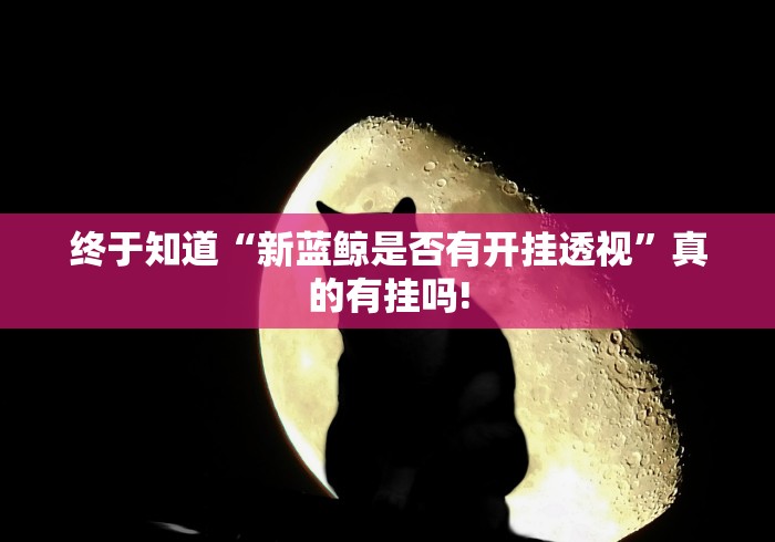 终于知道“新蓝鲸是否有开挂透视”真的有挂吗!