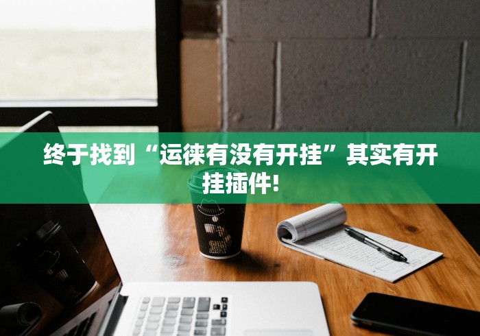 终于找到“运徕有没有开挂”其实有开挂插件!