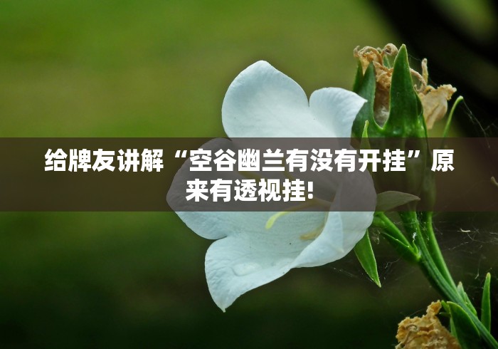 给牌友讲解“空谷幽兰有没有开挂”原来有透视挂!