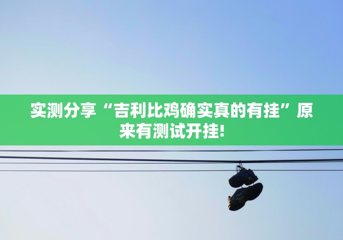 实测分享“吉利比鸡确实真的有挂”原来有测试开挂!