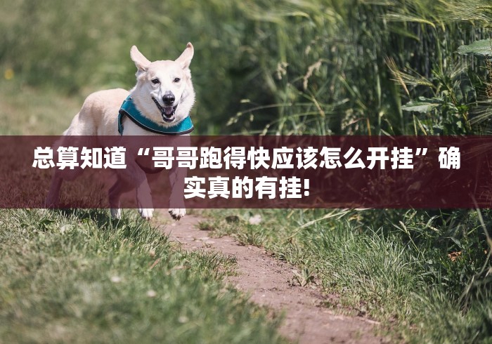 总算知道“哥哥跑得快应该怎么开挂”确实真的有挂!