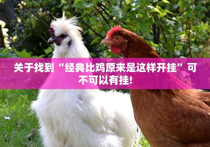 关于找到“经典比鸡原来是这样开挂”可不可以有挂!