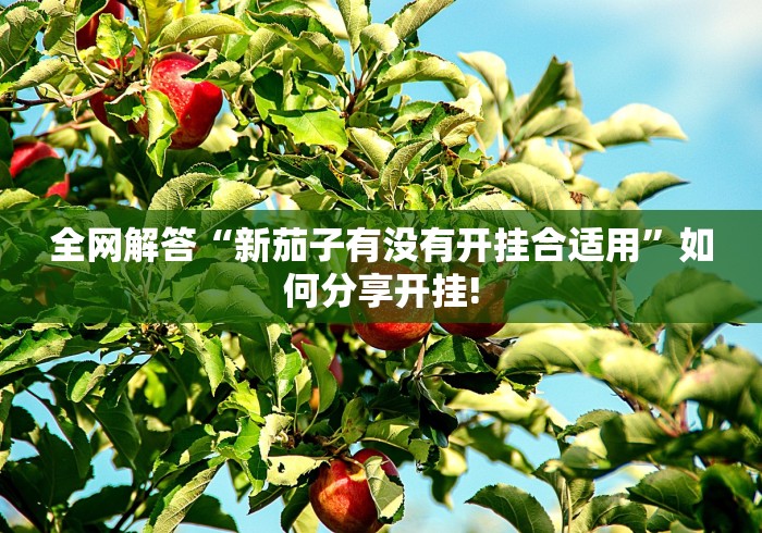 全网解答“新茄子有没有开挂合适用”如何分享开挂!