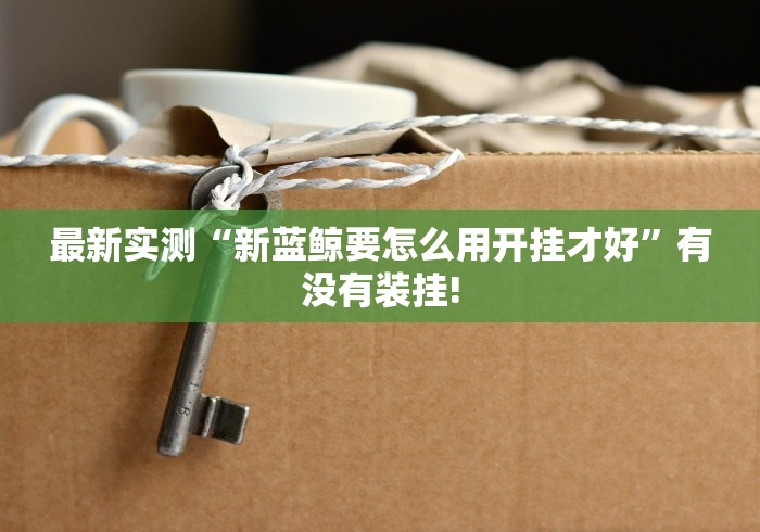 最新实测“新蓝鲸要怎么用开挂才好”有没有装挂!