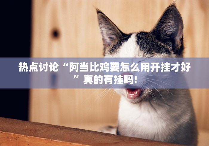 热点讨论“阿当比鸡要怎么用开挂才好”真的有挂吗!