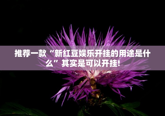 推荐一款“新红豆娱乐开挂的用途是什么”其实是可以开挂!