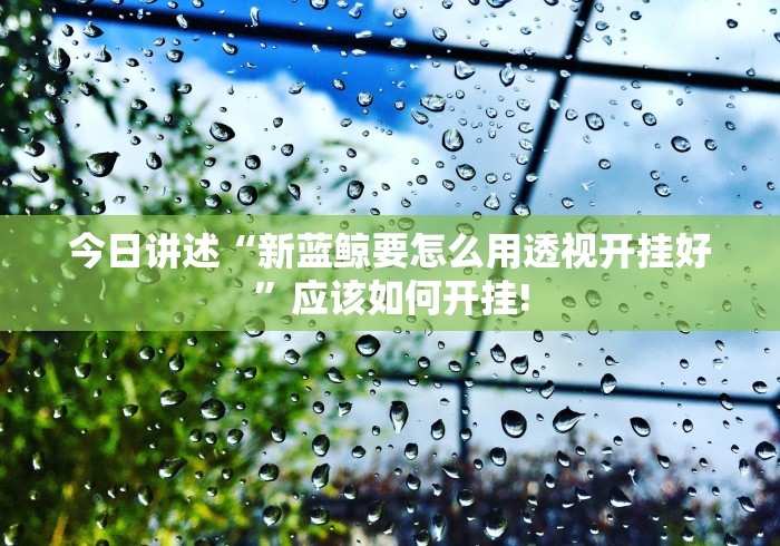 今日讲述“新蓝鲸要怎么用透视开挂好”应该如何开挂!